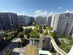 Tampines Street 86 (Tampines), Multi Generation #597149471